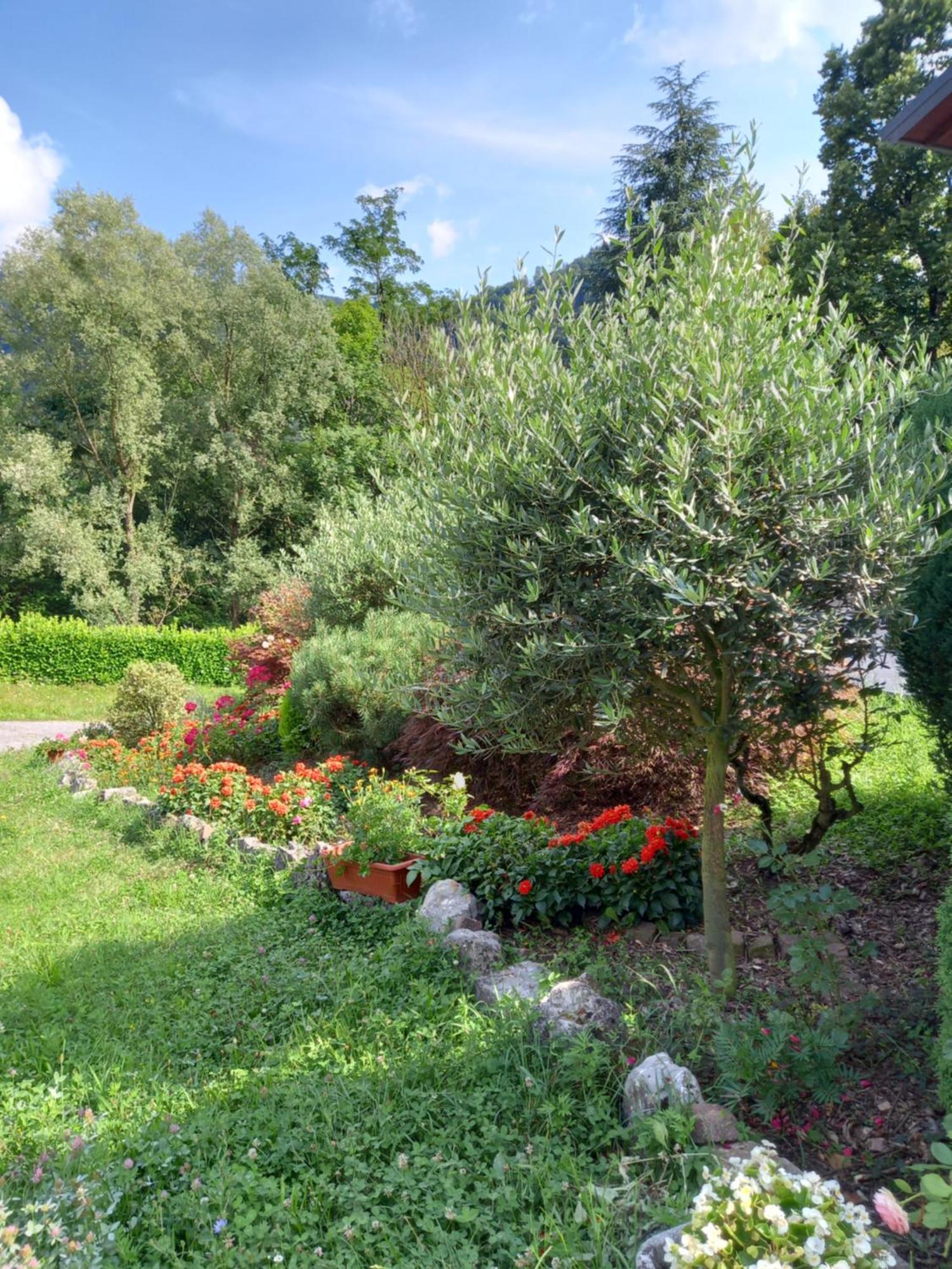 Casa Vacanze Tania Somendenna Экстерьер фото